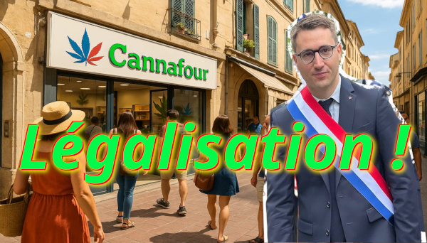 Légalisation: Le Rapport Léaument/Mendes